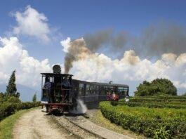 Darjeeling Toy Train