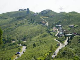 Traffic Between Siliguri and Mirik Restricted for Safety Following Frequent Accidents